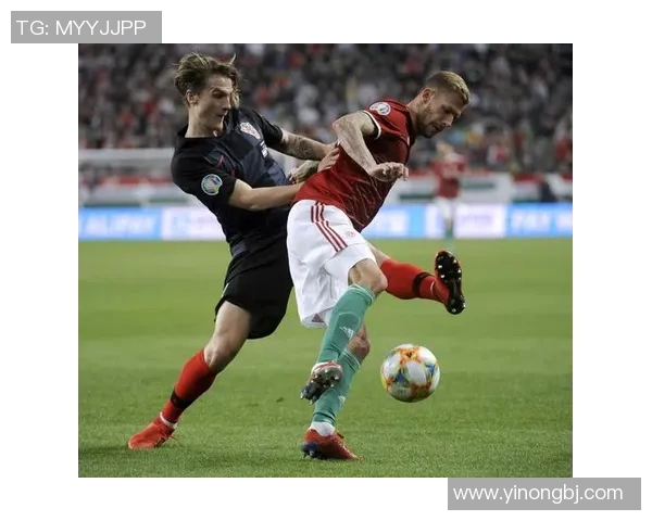 匆牙利对克罗地亚比赛结果分析及精彩瞬间回顾