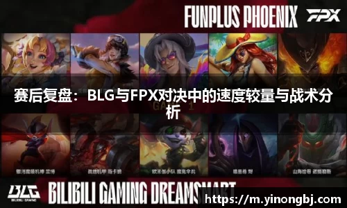 金年会